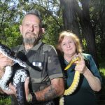 ARM Snakes 2