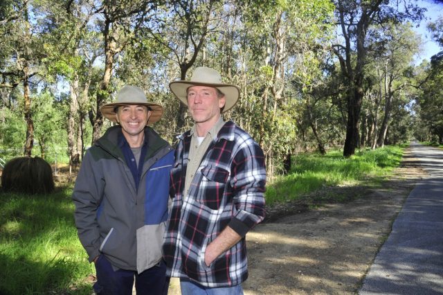 SJ Ted Love reserve 2