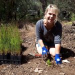 ARM Planting session 1