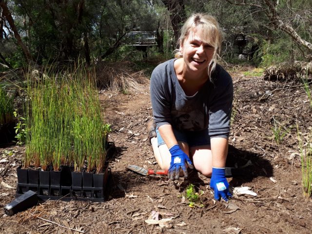 ARM Planting session 1
