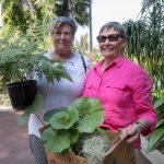 SJE Open garden 1