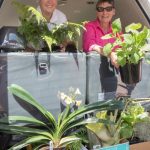 SJE Open garden 9