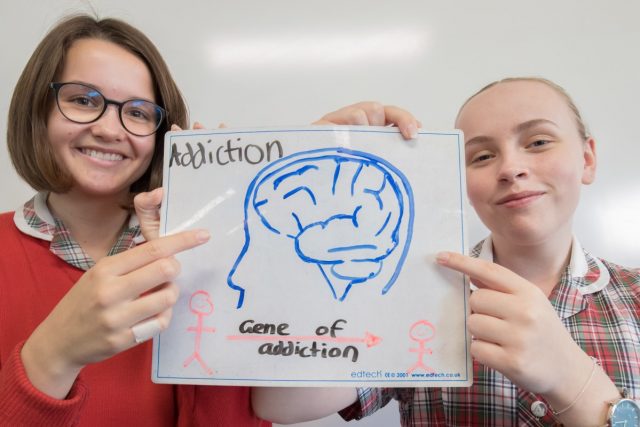 ARM Explain the brain 1