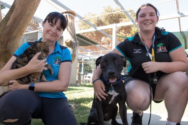 GOS Animal protection1
