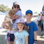 SJ Twilight markets 1