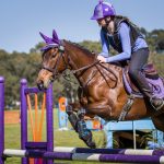 SP SJ Equestrian 1