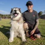 SJ Byford dog park 1