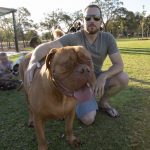 SJ Byford dog park 8
