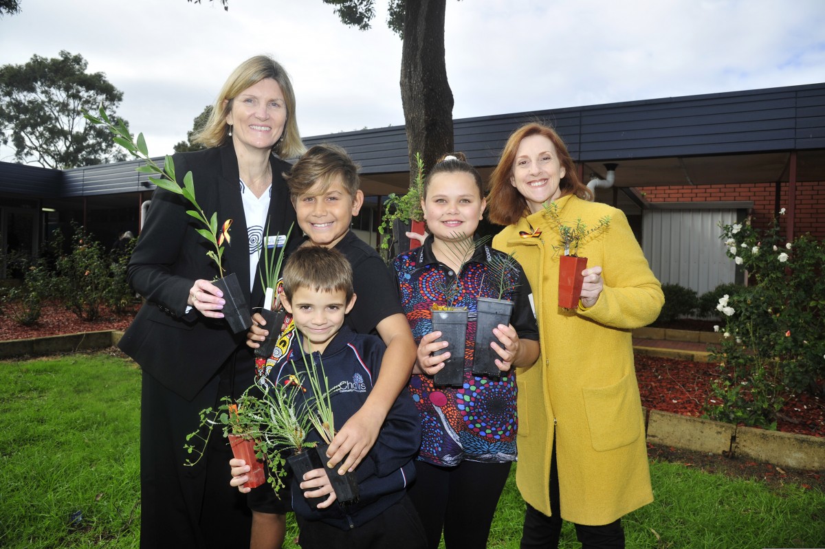 Students learn about bush tucker Your Local Examiner