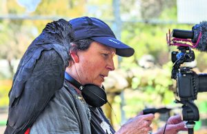 Black Cockatoo