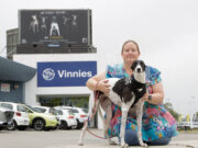 Truth about greyhound death toll