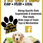 South Street Pets front (320x500px)