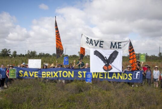 Protesters in a field holding signs