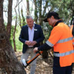 SJ – Dave Crispin 2