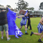 SPORT Bulldogs pic 2