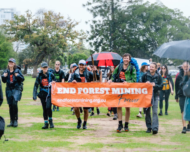 SJ - jarrah walks