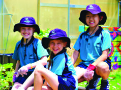 Striving for excellence