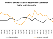 Stray cat surge impacts both Canning and Gosnells