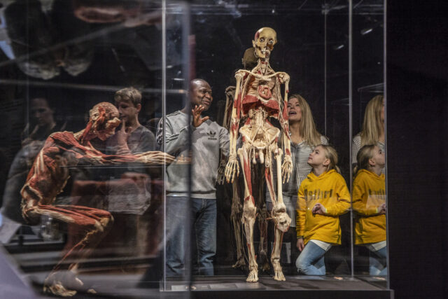 GAS- Body worlds 2