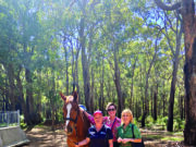 SJ’s on the right trail