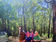 SJ’s on the right trail