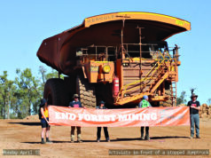 Activists halt mine work