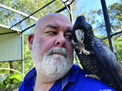 Volunteers receive hands-on experience with black cockatoos