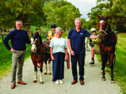 Road safety in the spotlight