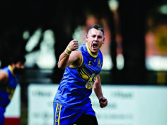 Hawks legend celebrates a 300-game milestone for his club