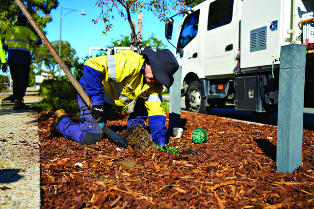 ARM Armadale Planting Pic 1_CP