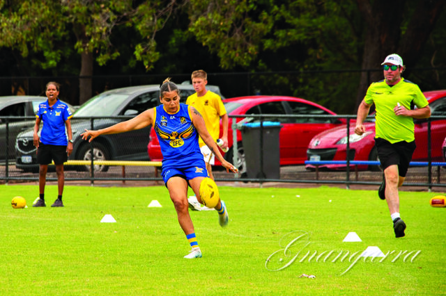 SPORT Gosnells Hawks 17th June Match Report Pic_CP