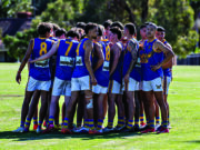 Young Colts prove to be a force to be reckoned with
