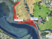 Wilson foreshore to become dog-free as Ferndale dog park plans progress