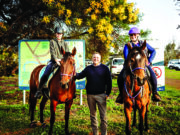 Park’s tourism boost