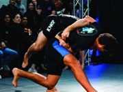 Mat Shark takes out an amazing 20 medals at nationals