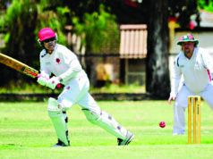 Strong season start for Armadale Cricket Club